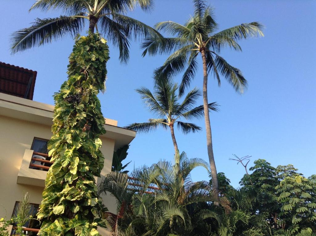 Hotel Palmeras Bucerías Buitenkant foto